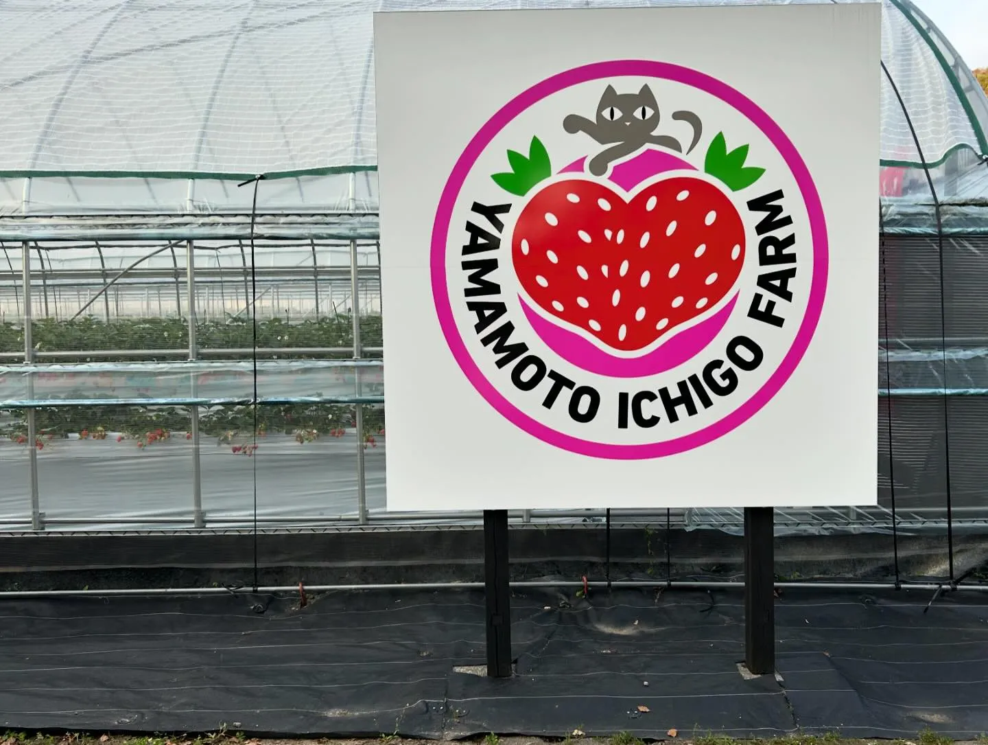 【宇和島市注文住宅】　山本いちごファーム様直売所(事務所)