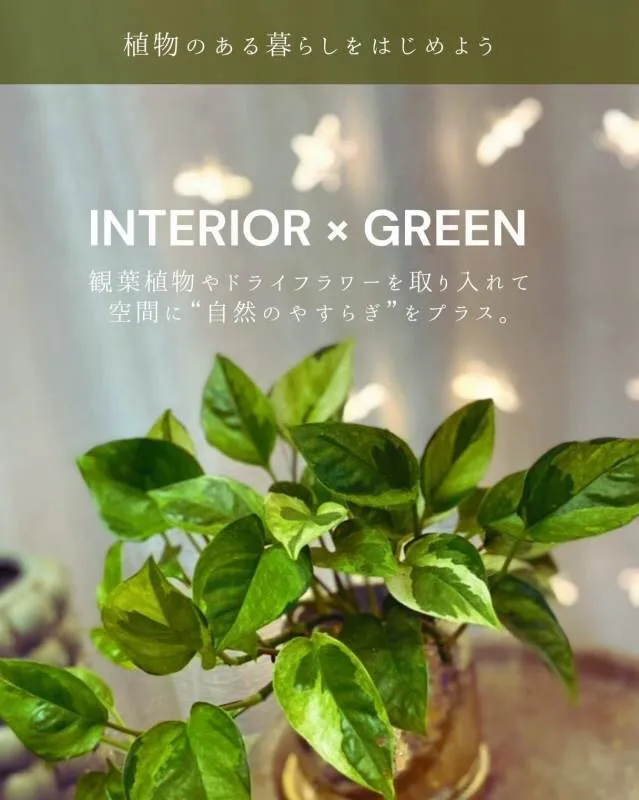 今回は、住まいに自然の心地よさをプラスする