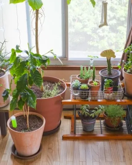 今回は、住まいに自然の心地よさをプラスする