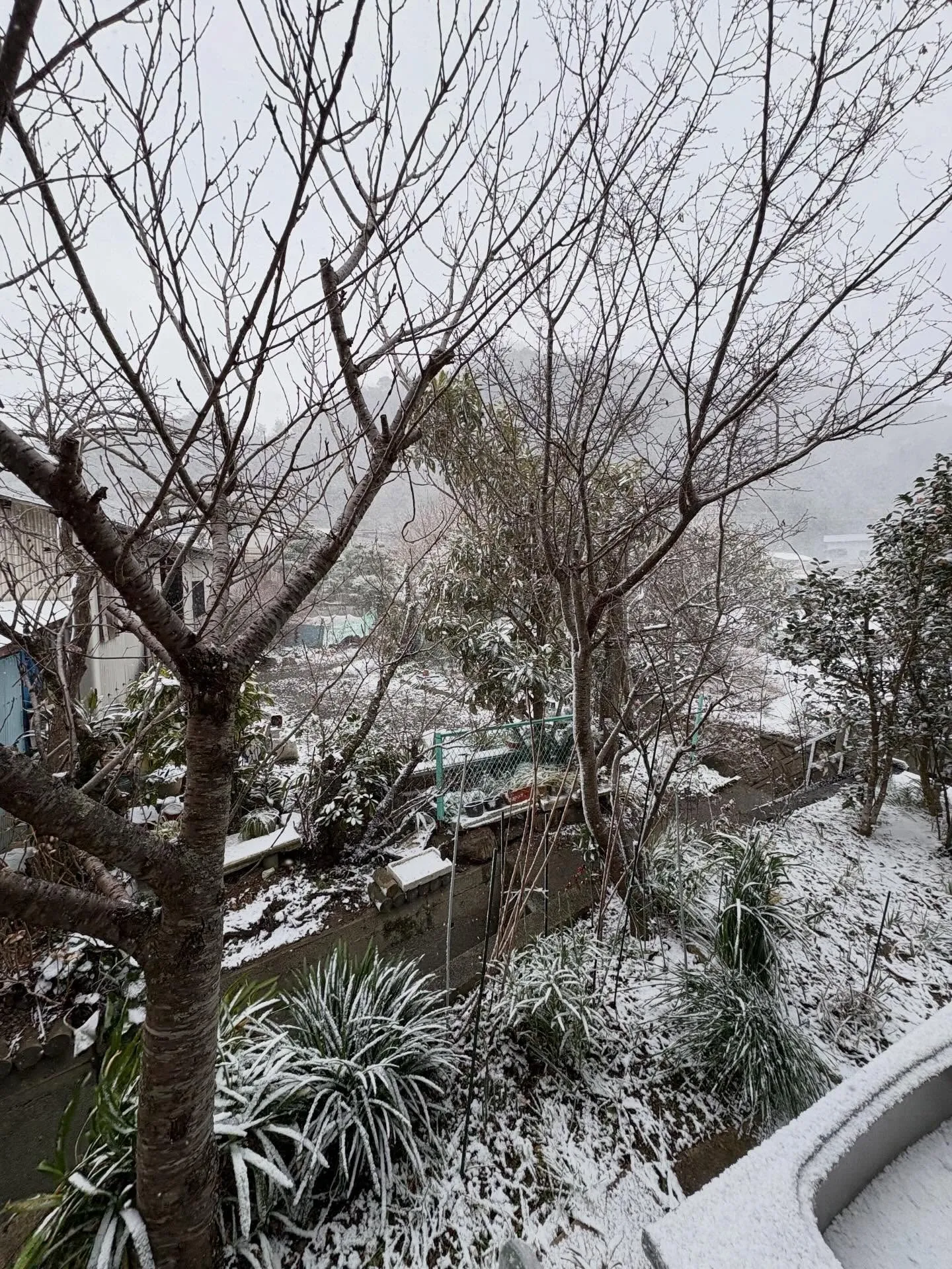 【宇和島リフォーム】今年に入って3度目の雪が降る日となりまし...