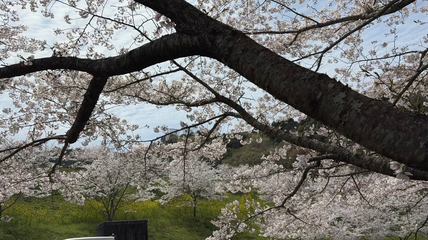 【宇和島市リフォーム🏡】